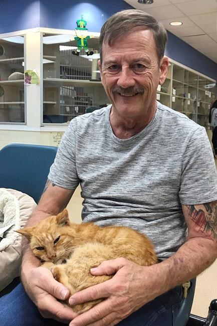 Florida man reunites with pet cat lost 14 years ago | iNFOnews.ca Florida man reunites with pet cat lost 14 years ago | iNFOnews.ca