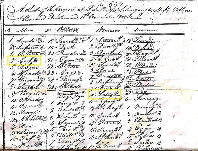 Slave descendants to spend night in cabins at NC plantation | iNFOnews.ca