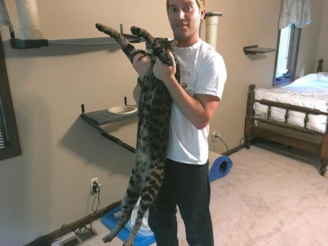 Tall tail: Record-setting cats share home near Detroit | iNFOnews.ca Tall tail: Record-setting cats share home near Detroit | iNFOnews.ca