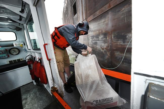 Mail by pail is name of game for Detroit's floating ZIP code | iNFOnews.ca