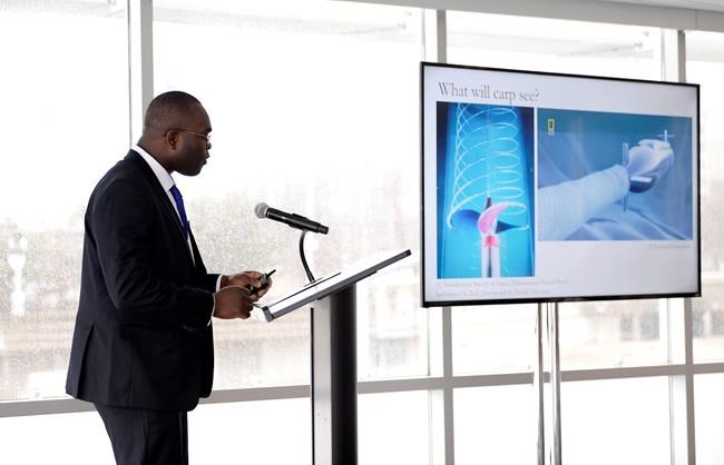 Michigan crowns winner in contest to prevent carp invasion | iNFOnews.ca