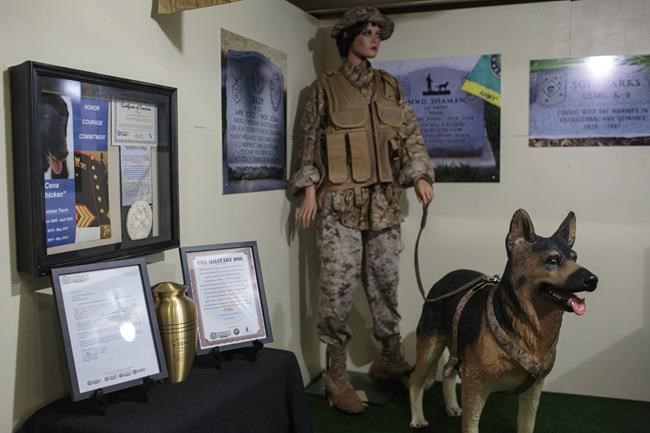 Museum display in western Michigan honours military dogs | iNFOnews.ca
