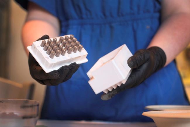 Oregon infant's illness prompts warning about placenta pills | iNFOnews.ca CP117250983