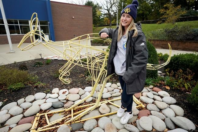 Stressed freshmen missing quintessential college experience | iNFOnews.ca Stressed freshmen missing quintessential college experience | iNFOnews.ca