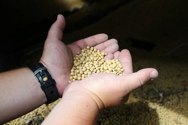 Farmers fret and wait as US-China trade war escalates | iNFOnews.ca