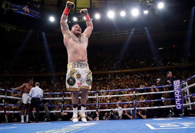 Historic Andy Ruiz win jolts elation among Mexican Americans | iNFOnews.ca