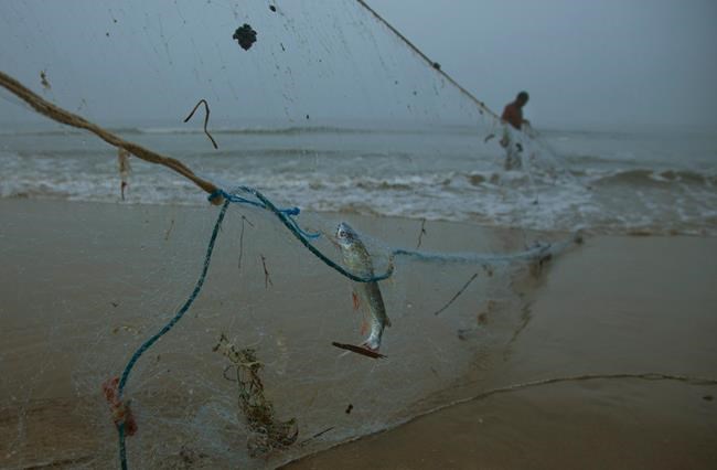 Indian fishermen try new nets for healthier oceans | iNFOnews.ca