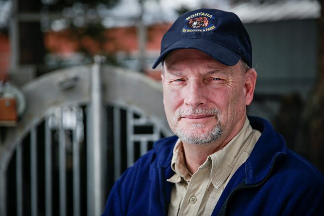 Grizzly guru tries to defuse human conflicts with bears | iNFOnews.ca