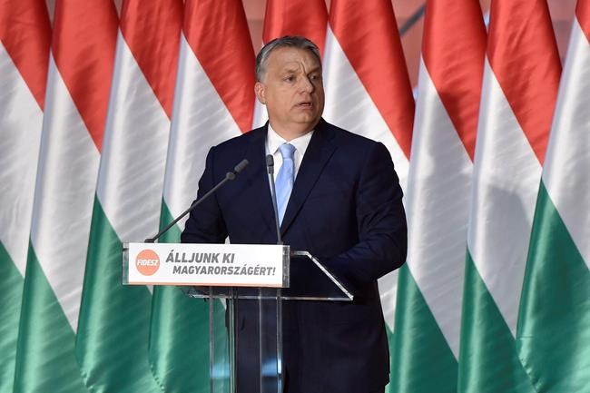 Amnesty International won't comply with Hungary NGO law | iNFOnews.ca