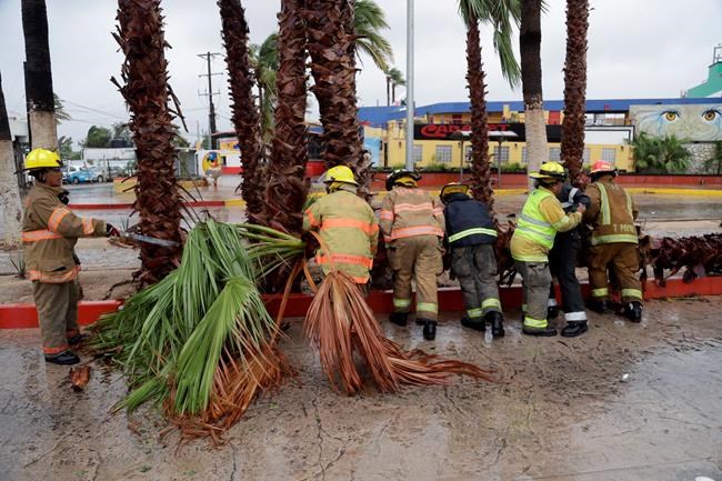 The Latest: Newton loses steam in Southwest | iNFOnews.ca