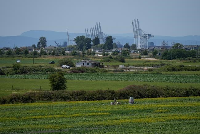 B.C.'s agriculture industry at forefront of climate change reality | iNFOnews.ca