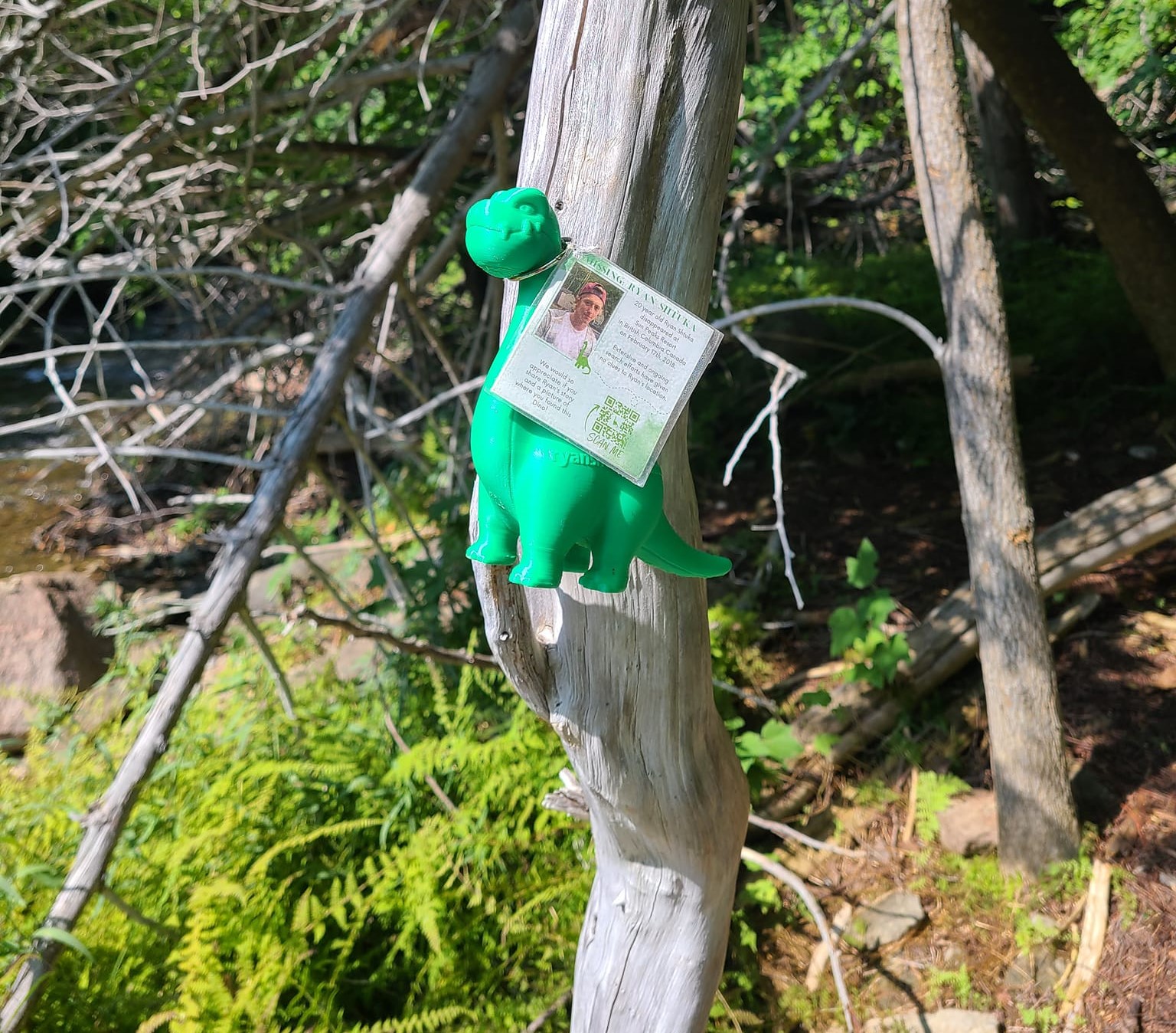 How Ryan Shtuka's story went viral thanks to a Shtukasaurus toy dinosaur | iNFOnews.ca