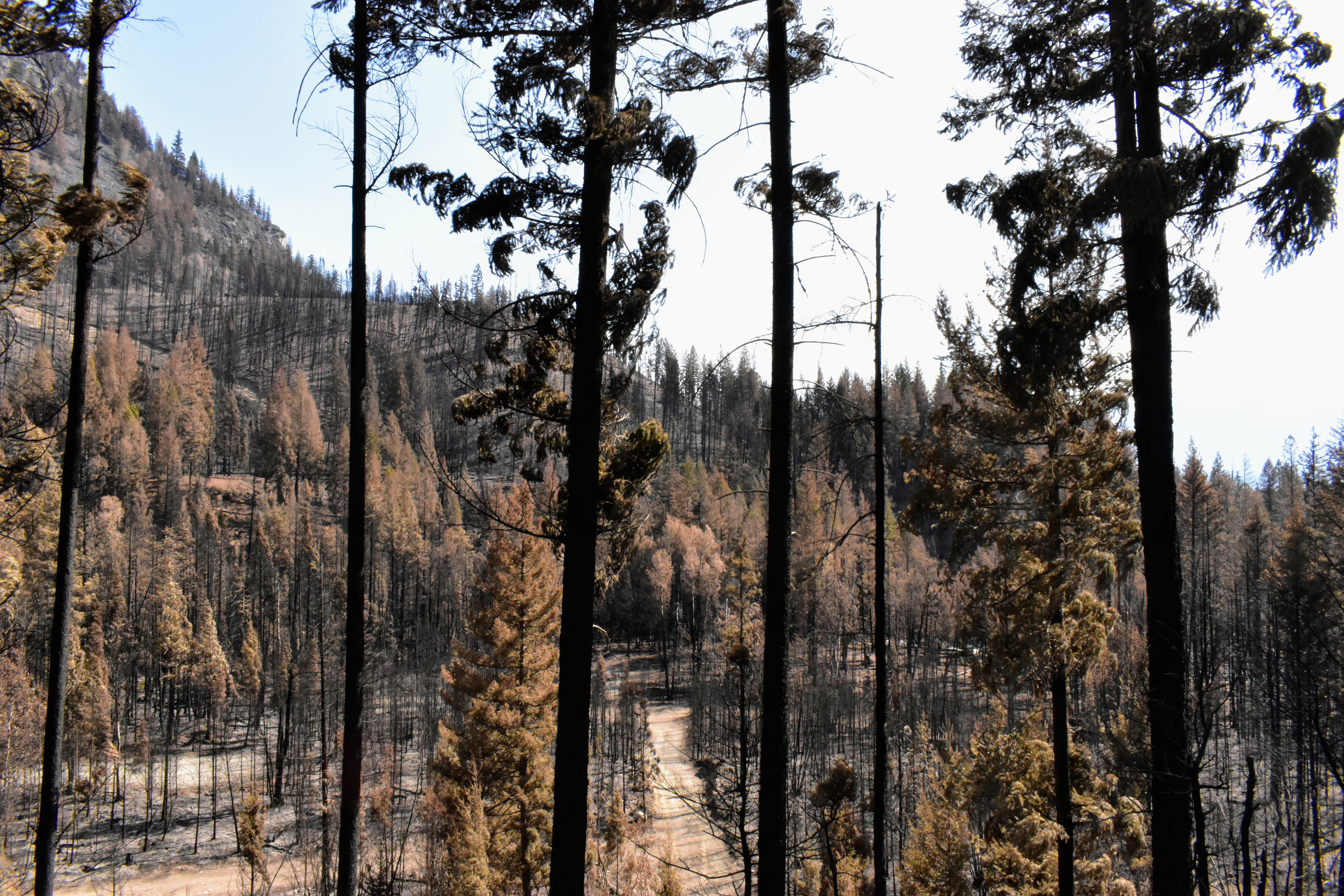 iN PHOTOS: Thousands of North Shuswap residents return to communities scarred by fire | iNFOnews.ca