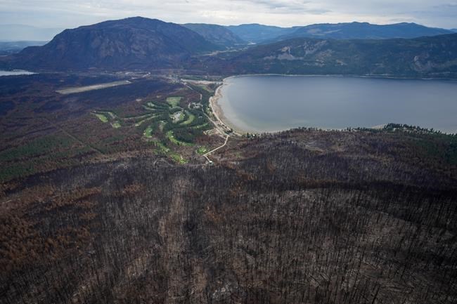 Weeks of worry ease as alerts lift for two BC wildfires outside Kamloops, Lillooet | iNFOnews.ca Weeks of worry ease as alerts lift for two BC wildfires outside Kamloops, Lillooet | iNFOnews.ca