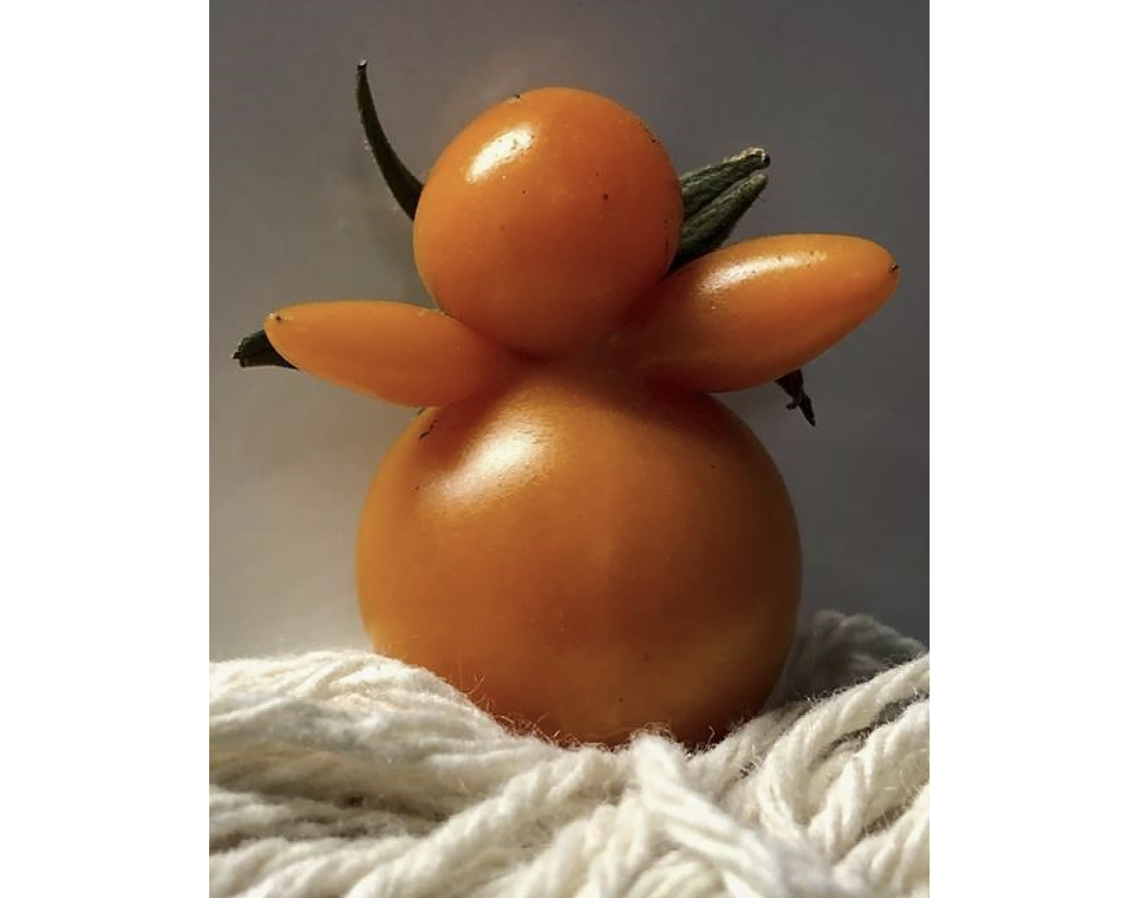 The mutant tomatoes are here, and they come in peace | iNFOnews.ca