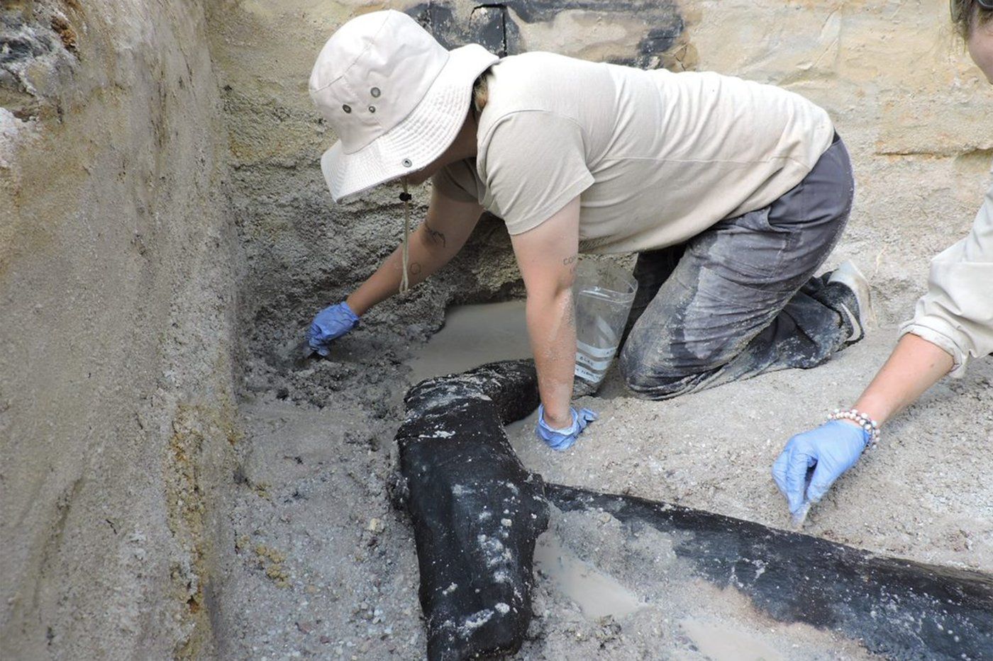 This simple log structure may be the oldest example of early humans building with wood | iNFOnews.ca This simple log structure may be the oldest example of early humans building with wood | iNFOnews.ca