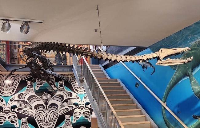 Long-necked marine reptile from 80 million years ago to become B.C.'s fossil emblem | iNFOnews.ca Long-necked marine reptile from 80 million years ago to become B.C.'s fossil emblem | iNFOnews.ca