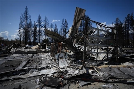Forest Practices Board investigates planned back burn in B.C.'s Shuswap region | iNFOnews.ca