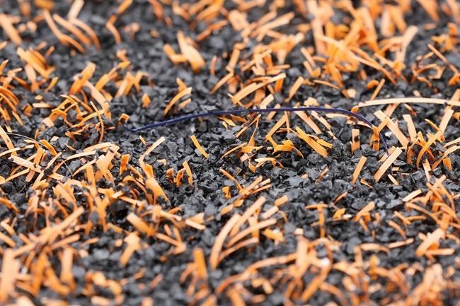 What does the science say about the grass vs. turf debate in sports? | iNFOnews.ca
