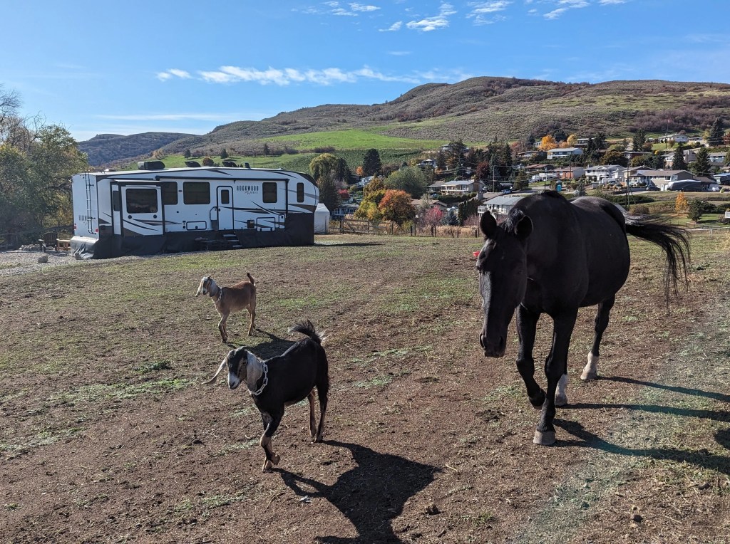 Why BC Housing can build tiny homes but you can't | iNhome Why BC Housing can build tiny homes but you can't | iNhome