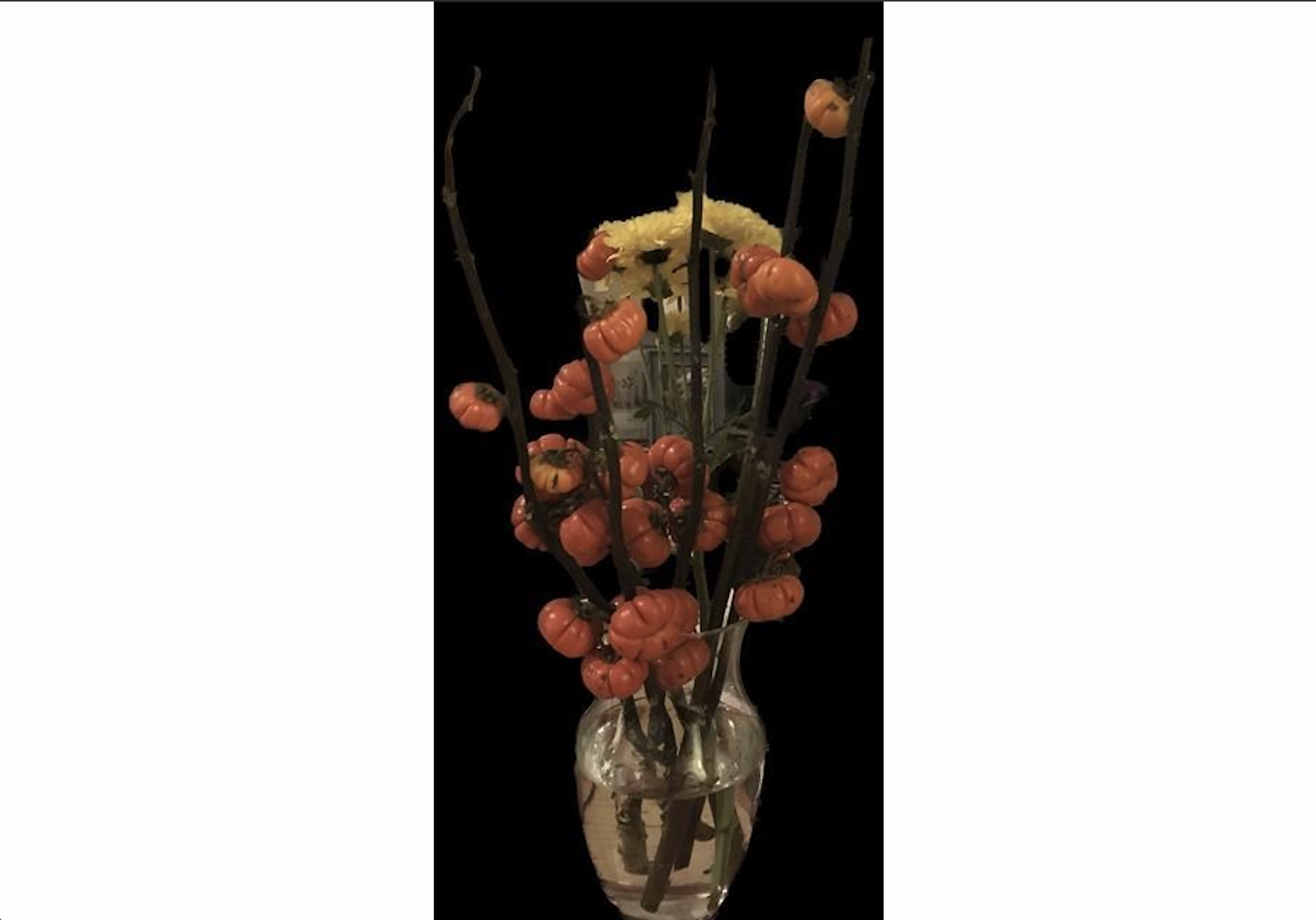 Spooky plants for Goth gardens | iNFOnews.ca