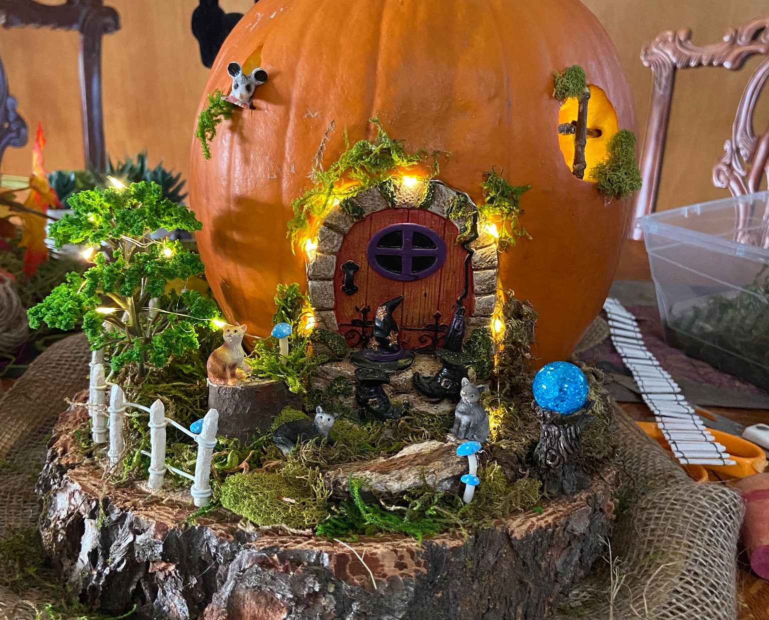iN PHOTOS: Creative jack-o'-lanterns carved in Kamloops, Okanagan: Part Two | iNFOnews.ca
