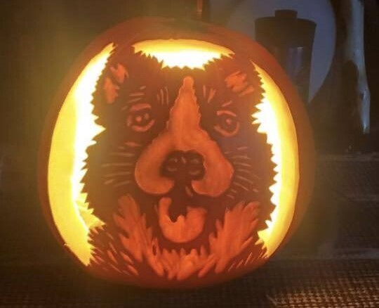 iN PHOTOS: Creative jack-o'-lanterns carved in Kamloops, Okanagan: Part Two | iNFOnews.ca