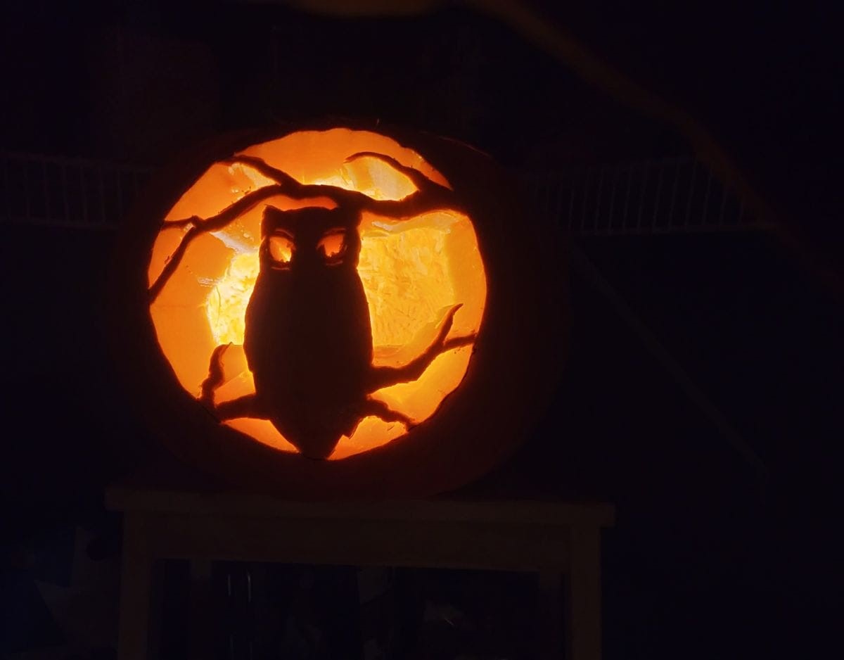iN PHOTOS: Creative jack-o'-lanterns carved in Kamloops, Okanagan: Part Two | iNFOnews.ca