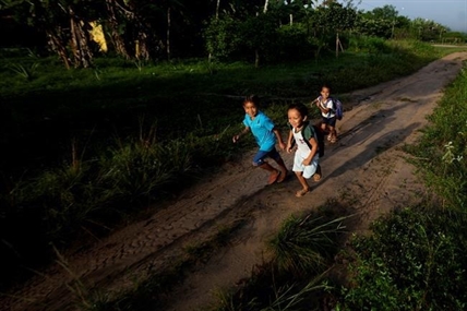 Poverty is killing the Amazon rainforest. Treating soil and farmers better can help save what's left | iNFOnews.ca