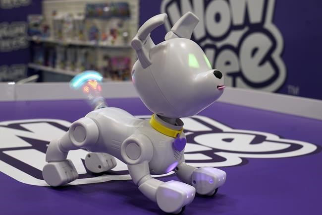 Not just kid play: Toy companies aim more products at older adults | iNFOnews.ca Not just kid play: Toy companies aim more products at older adults | iNFOnews.ca