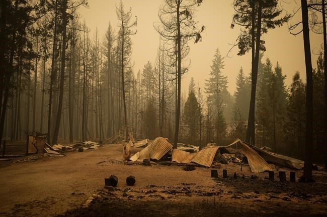 Study says buffers, fire resistant materials could slash wildfire risks to residences | iNFOnews.ca