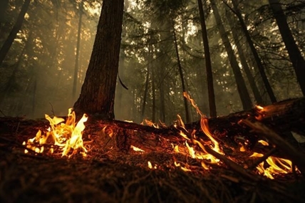 University researchers confirm fire-generated tornado over B.C. lake in viral video | iNFOnews.ca University researchers confirm fire-generated tornado over B.C. lake in viral video | iNFOnews.ca