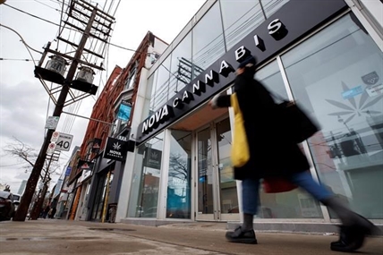 73% of pot purchases from legal sources in Canada: survey | iNFOnews.ca