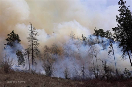 B.C. sends wildland firefighters, helicopter to fight Alaskan blazes | iNFOnews.ca B.C. sends wildland firefighters, helicopter to fight Alaskan blazes | iNFOnews.ca
