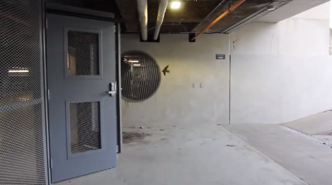 Smart birds open and close garage door | iNFOnews.ca