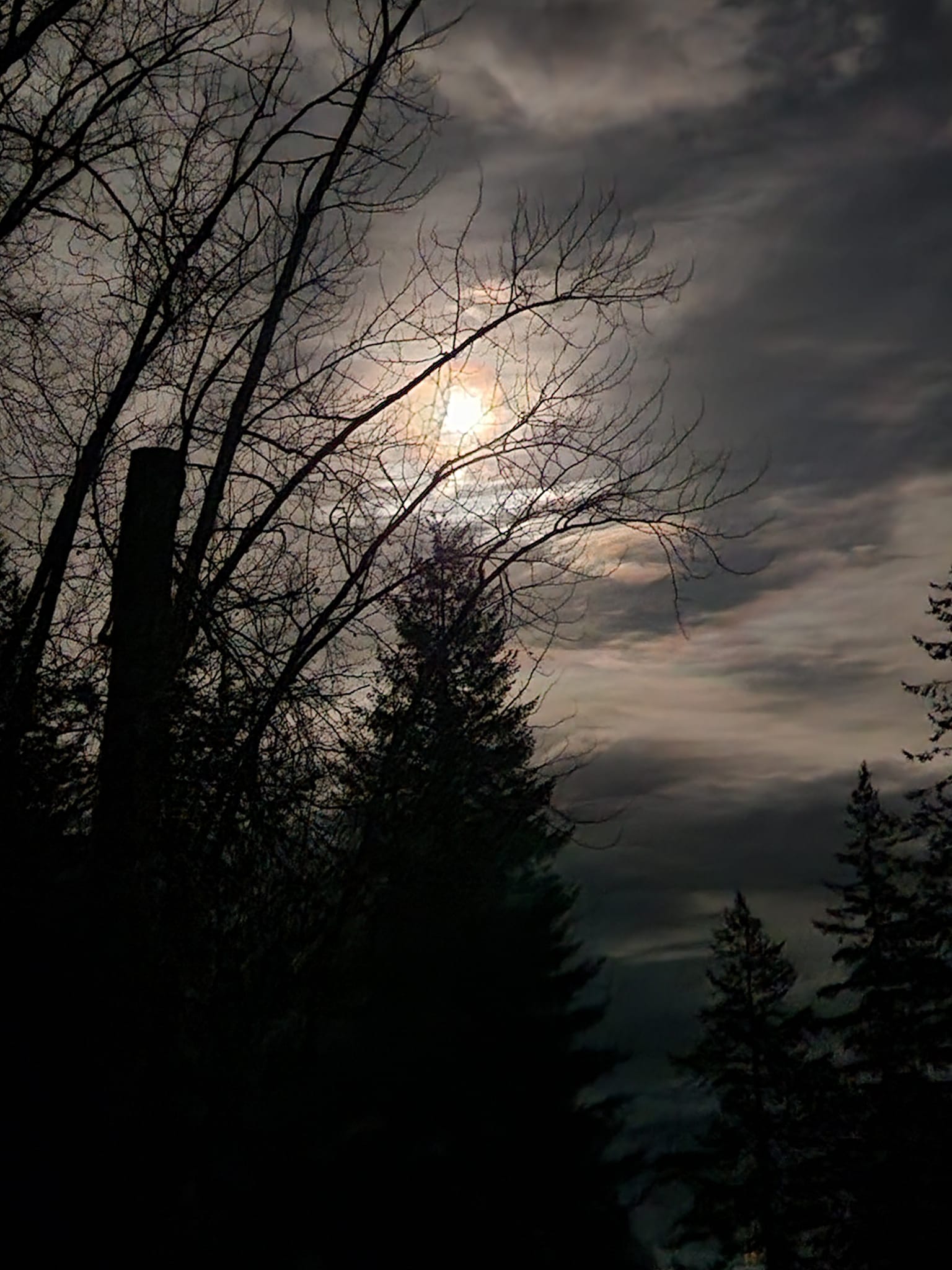 iN PHOTOS: Snow Moon captured through cloud cover over Kamloops, Okanagan | iNFOnews.ca