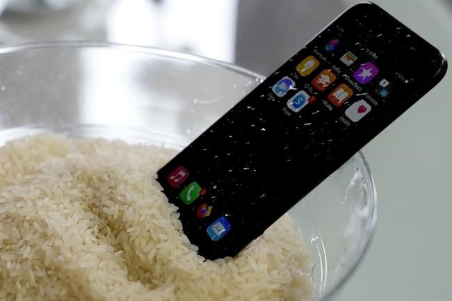 Don't use rice for your device. Here's how to dry out your smartphone | iNFOnews.ca Don't use rice for your device. Here's how to dry out your smartphone | iNFOnews.ca