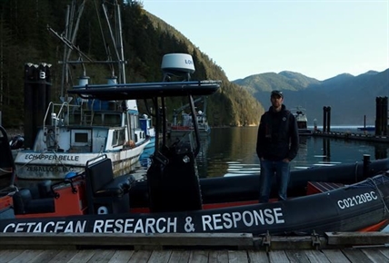 Whale experts confident orca calf will survive, find family if rescue plan succeeds | iNFOnews.ca Whale experts confident orca calf will survive, find family if rescue plan succeeds | iNFOnews.ca