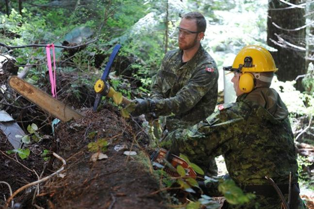 Remains of four Second World War airmen recovered seven decades after B.C. crash | iNFOnews.ca