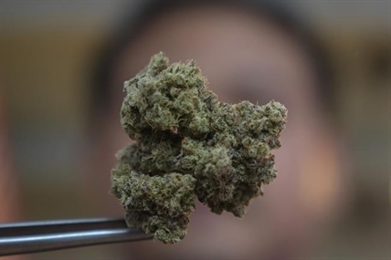 Thailand's prime minister wants to outlaw cannabis, 2 years after it was decriminalized | iNFOnews.ca Thailand's prime minister wants to outlaw cannabis, 2 years after it was decriminalized | iNFOnews.ca