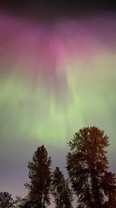 iN PHOTOS: Northern lights swept through Kamloops, Okanagan last night | iNFOnews.ca