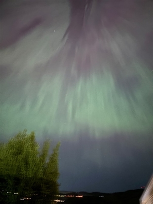 iN PHOTOS: Northern lights swept through Kamloops, Okanagan last night | iNFOnews.ca