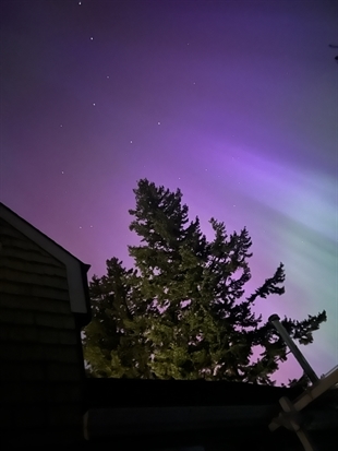 iN PHOTOS: Northern lights swept through Kamloops, Okanagan last night | iNFOnews.ca