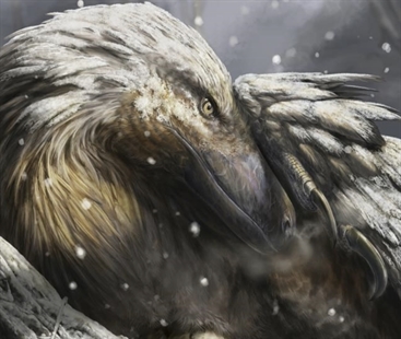 When the first warm-blooded dinosaurs roamed Earth | iNFOnews.ca When the first warm-blooded dinosaurs roamed Earth | iNFOnews.ca