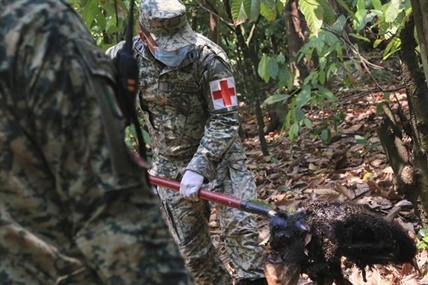 It's so hot in Mexico that howler monkeys are falling dead from the trees | iNFOnews.ca