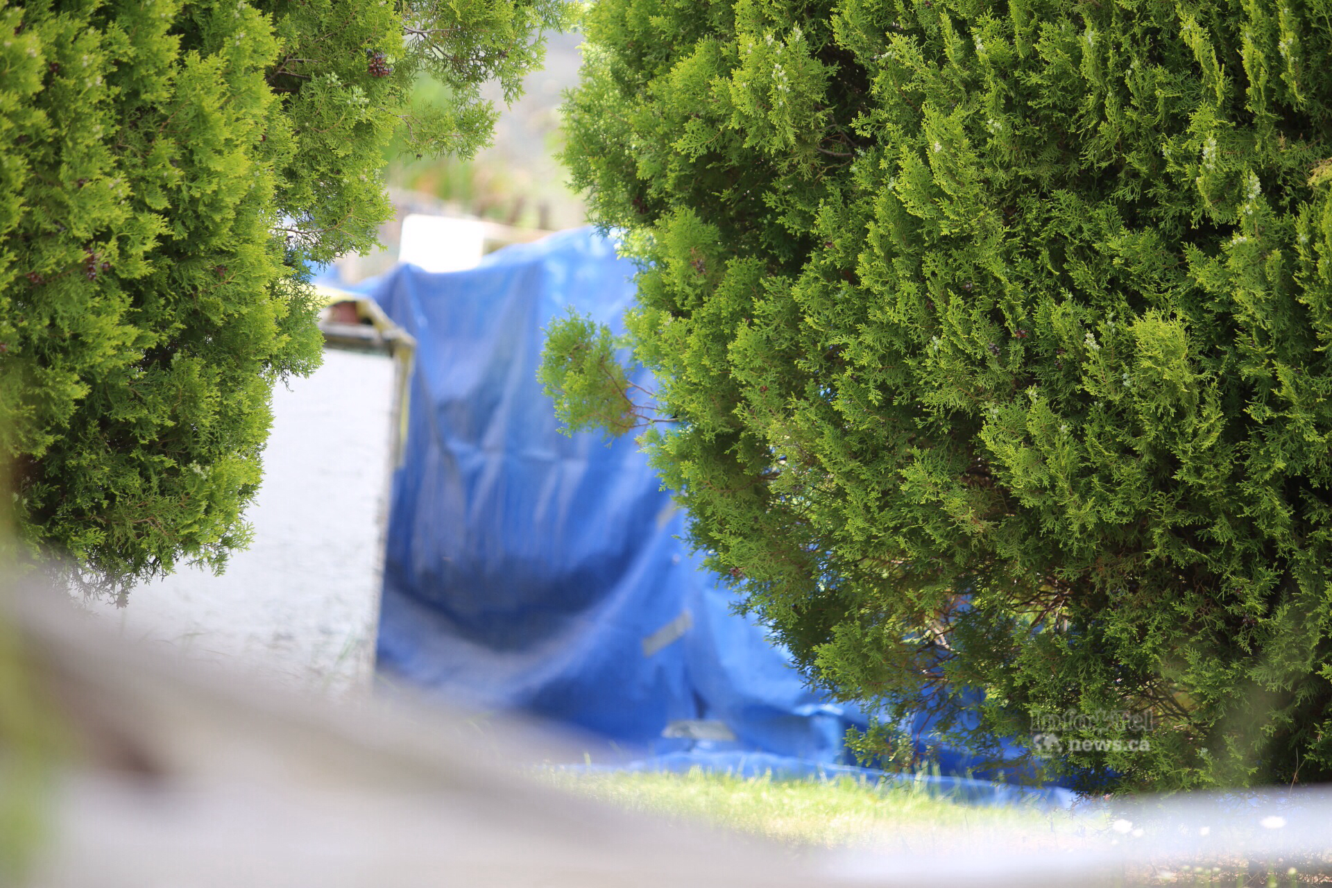 UPDATE: Charges laid in Ashcroft murder | iNFOnews.ca