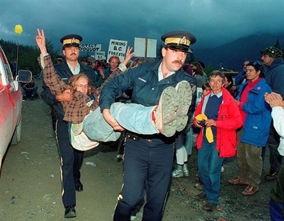 BC's 'war in the woods' battlegrounds to be permanently protected | iNFOnews.ca