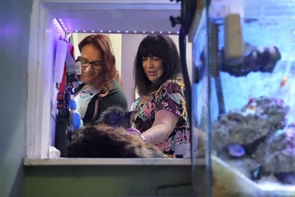 iN VIDEO: Can a marriage survive a gender transition? Yes, and even thrive. How these couples make it work | iNFOnews.ca iN VIDEO: Can a marriage survive a gender transition? Yes, and even thrive. How these couples make it work | iNFOnews.ca