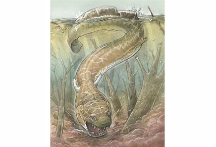 Fossils show huge salamanderlike predator with sharp fangs existed before the dinosaurs | iNFOnews.ca