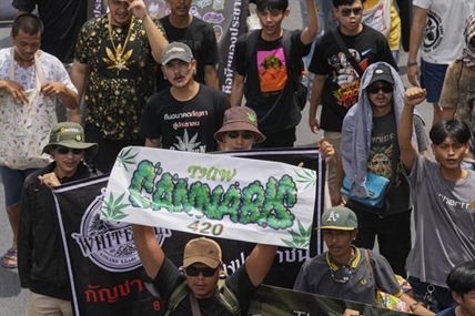 Cannabis advocates in Thailand protest a proposal to ban again its general use | iNFOnews.ca Cannabis advocates in Thailand protest a proposal to ban again its general use | iNFOnews.ca